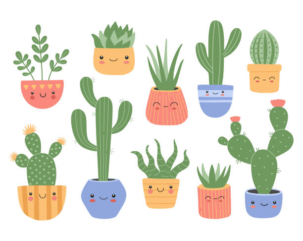 Set of cute succulents cactus with smiling face vector art illustration