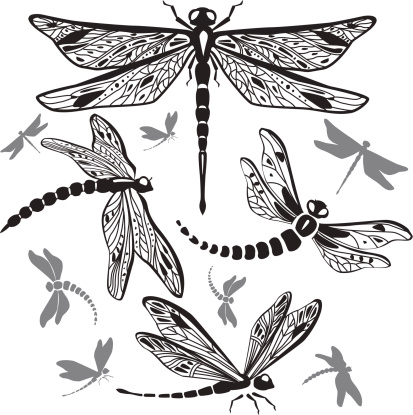 Set of decorative dragonflies