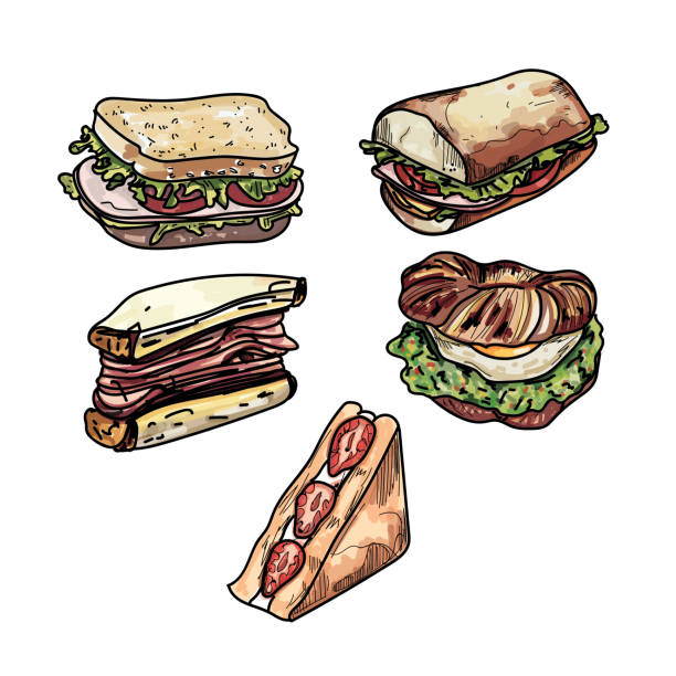 illustrations, cliparts, dessins animés et icônes de série d’illustrations de délicieux sandwich. - fromager