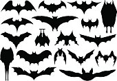 Set of different bats isolated