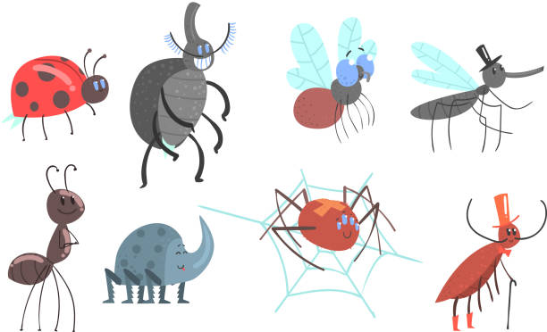 Set of different beetles and insects. Vector illustration Set of cartoon beetles, ladybug, ant, fly, mosquito spider cockroach Vector illustration cute spider stock illustrations