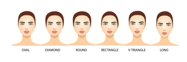tập hợp các hình dạng khuôn mặt nữ khác nhau trên nền trắng. - how to do model makeup hình minh họa sẵn có