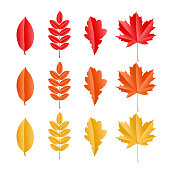 Set of different paper art red, orange and yellow autumn foliage. Maple, oak, rowan glossy leaves isolated on white background.