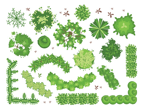 Set of different green trees, shrubs, hedges. Top view for landscape design projects. Vector illustration, isolated on white.