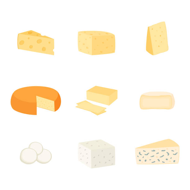 illustrazioni stock, clip art, cartoni animati e icone di tendenza di set di diversi tipi di formaggio, illustrazione vettoriale - mozzarella