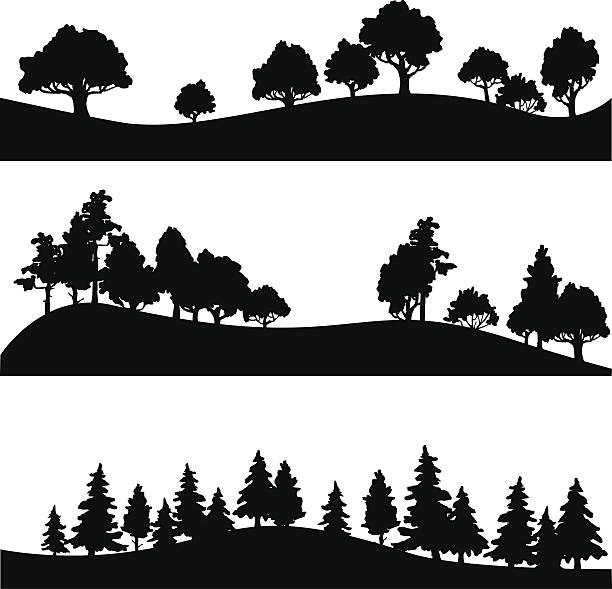 set of different landscape with trees set of different silhouettes of landscape with trees, vector illustration forest silhouettes stock illustrations