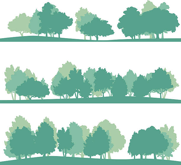 set of different landscape with trees set of different silhouettes of landscape with trees, vector illustration tree silhouettes stock illustrations