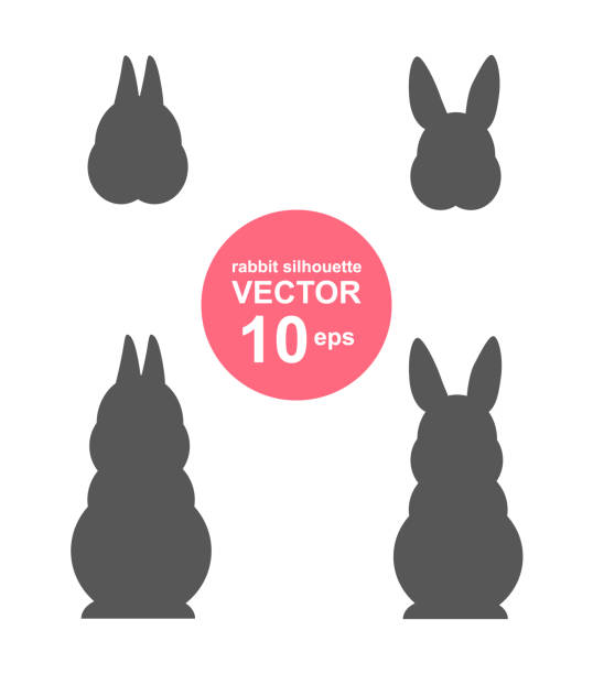 bildbanksillustrationer, clip art samt tecknat material och ikoner med uppsättning av olika kaniner silhuetter på vit bakgrund. inklusive netherland dwarf kanin silhuett och vanlig kanin silhuett. - vektor - netherland dwarf rabbit