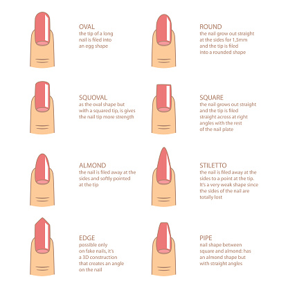 Set Of Different Shapes Of Nails On White Nail Shape Icons Manicure Polish Vector Illustration Stock Illustration Download Image Now Istock