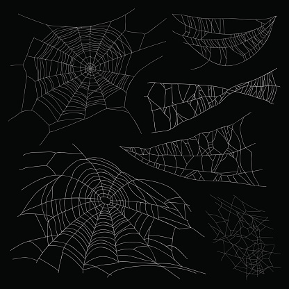 Set of different spiderwebs