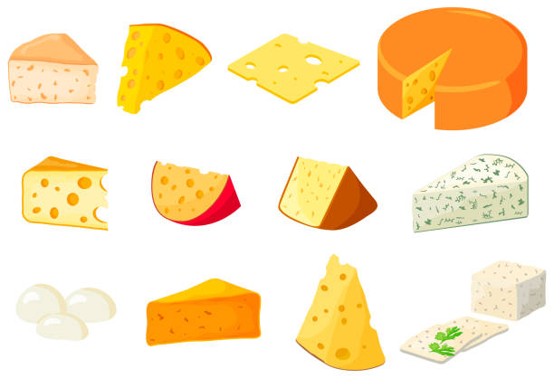 A set of different types of cheese A set of different types of cheese.Cheddar ,mozzarella, maasdam,brie, roquefort, gouda, feta and parmesan.Cut into triangles and slices of delicious cheeses.Flat vector illustration in cartoon style. brie stock illustrations