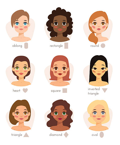 Set of different woman's face types shapes female head Set of different woman's face types shapes female head vector character illustration. Female head face types and square face types portrait. Face types for beauty neck shape forehead proportions. animal neck stock illustrations