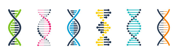 Set of DNA elements. Genetic signs. Medical symbols. Set of DNA elements. Genetic signs. Medical symbols. dna stock illustrations