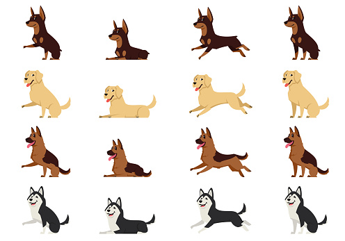 Set of dogs in different poses.