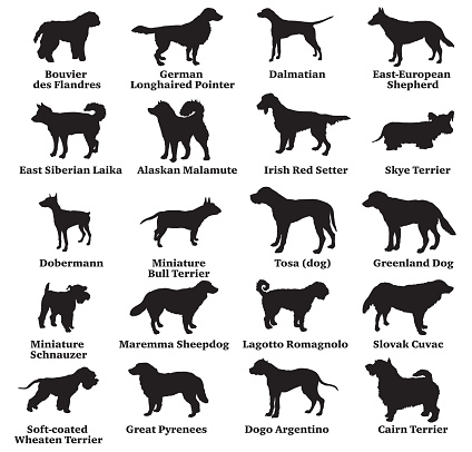 Set of dogs silhouettes-8