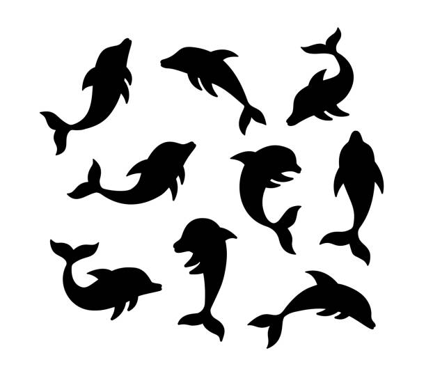 Set of dolhin silhouette. Hand drawn vector illustration. Black color dolphin icon isolated on white background. Stylish silhouette for tattoo. Stylized logo. stylized underwater nature set of icons stock illustrations