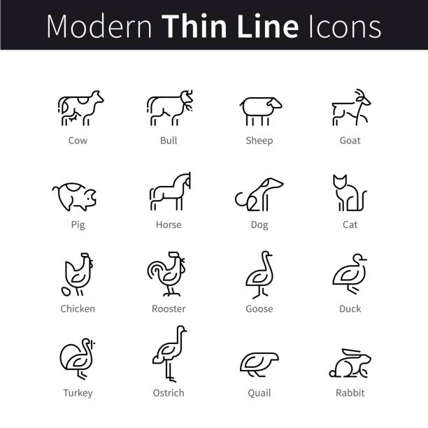 Set of domestic, farm animals and pets Set of domestic, farm animals and pets. thin black line art icons. Linear style illustrations isolated on white. dog symbols stock illustrations