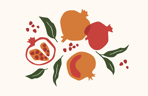 Set of drawn pomegranate, Vector illustration. Isolated elements for design