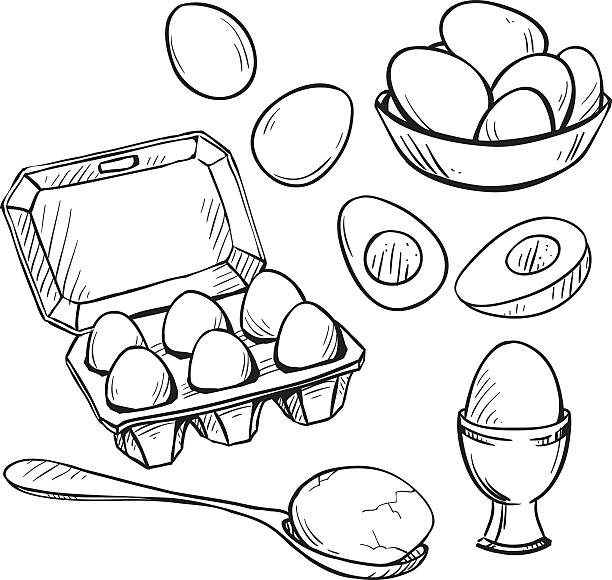 Set of eggs drawings. Hand drawn. Vector illustration. Set of eggs drawings. Hand drawn. Vector illustration. egg illustrations stock illustrations