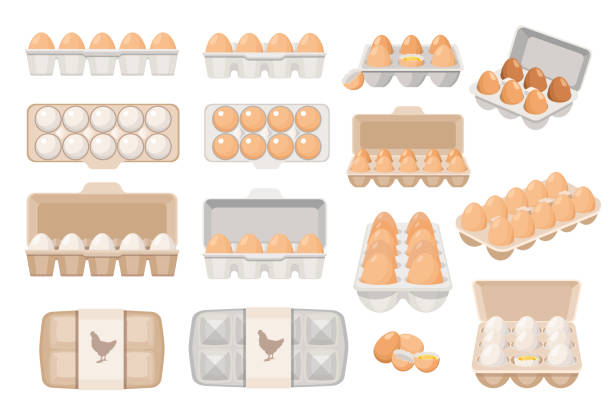 Set of Eggs in Boxes, Farmer Production, Organic Farm Food Icons for Market Place, Store or Shop. Poultry Production Set of Eggs in Boxes, Farmer Production, Organic Farm Food Icons for Market Place, Store or Shop. Poultry Production, Agriculture, Chicken Eggs in Closed and Open Boxes. Cartoon Vector Illustration egg stock illustrations