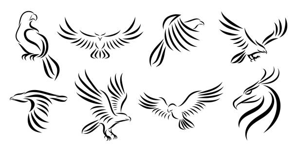 stockillustraties, clipart, cartoons en iconen met reeks van acht lijn kunst vectorembleem van adelaar. kan worden gebruikt als een logo of decoratieve items. - eagle cartoon