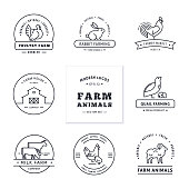 Branding farm. Set of eight modern linear style logos with farm animals with space for text or company name. Isolated on wooden vector background.
