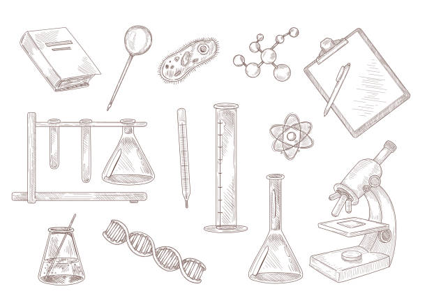 Set of engraving drawings of symbols of science Set of engraving drawings of symbols of science. Flat vector illustration. Vintage sketches of laboratory research, medical and pharmacy equipment. Physics, medicine, scientific experiment concept laboratory drawings stock illustrations