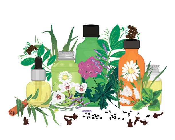 stockillustraties, clipart, cartoons en iconen met set van etherische oliën vector illustratie aromatherapie - essential oils smell