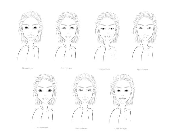 bộ khuôn mặt với hình dạng mắt khác nhau. - how to do model makeup hình minh họa sẵn có
