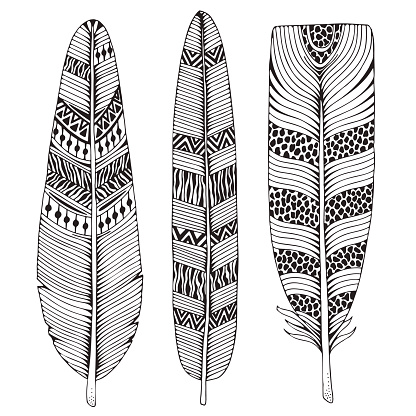 Tuyleri Beyaz Bir Arka Plan Uzerinde Kumesi Vintage Asiret Sanatsal Cizilmis Tuy Stilize Doodle Kroki Boyama Kitabi Icin Desen Stok Vektor Sanati Beyaz Nin Daha Fazla Gorseli Istock