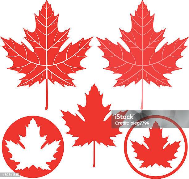 Maple Leaf Free Vector Art 16 731 Free Downloads