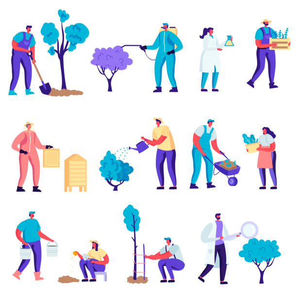 Set of Flat Farmers, Beekeepers, Gardeners Characters. Set of Flat Farmers, Beekeepers, Gardeners Characters. Cartoon Growing and Care of Plants in Garden or Greenhouse, Planting Trees, Collect Crop on Farm. Vector Illustration. gardening clipart stock illustrations