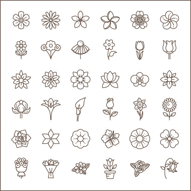 Set of flower and Botanical Icons line style. Included the icons as floral,  nature, bouquets, flowers, bloom And Other Elements.
customize color,  easy resize. flower icons stock illustrations