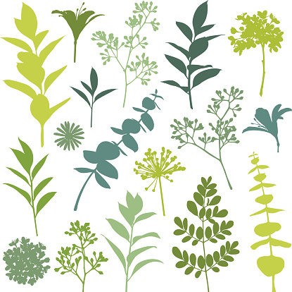 Set of Flower and Leaf Silhouette Design Elements