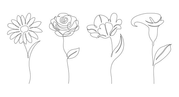 Set of flowers Set of flowers on white background. One line drawing style. plant stem stock illustrations