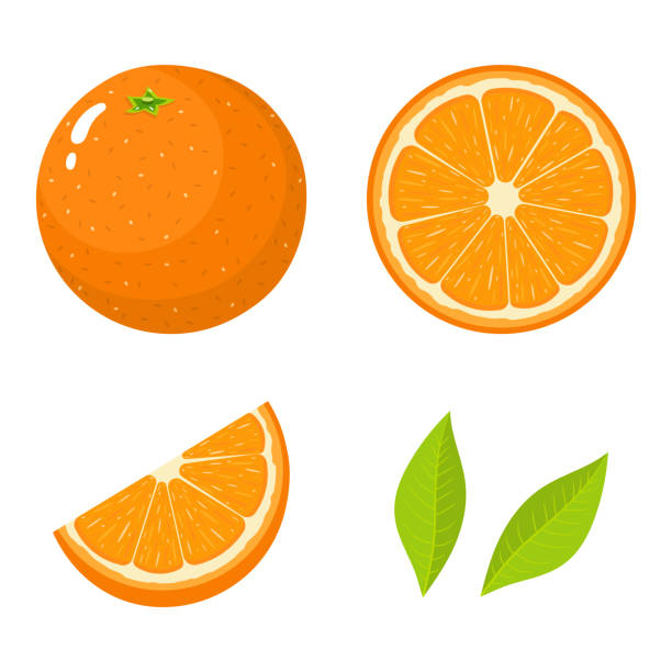 Set of fresh whole, half, cut slice and leaves orange fruit isolated on white background. Tangerine. Organic fruit. Cartoon style. Vector illustration for any design.  orange fruit stock illustrations