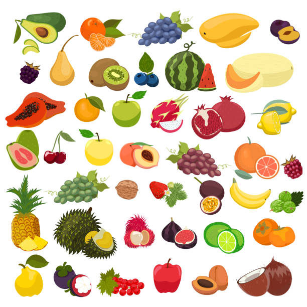 ilustrações de stock, clip art, desenhos animados e ícones de set of fruits isolated on a white background. vector graphics. - granadilla