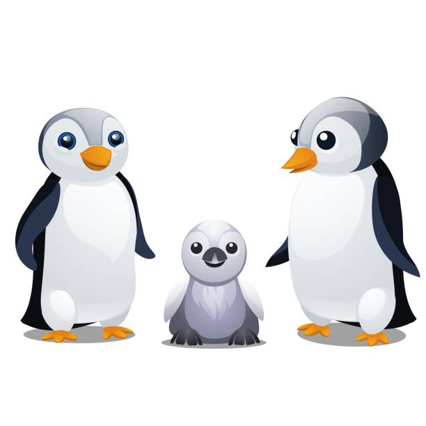 A set of fun animated penguins isolated on white background. Vector cartoon close-up illustration  baby penguin stock illustrations