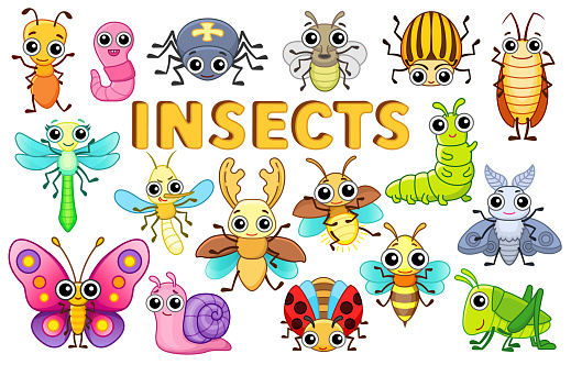 Set of funny bright insects in cartoon style