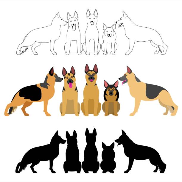 set of german shepherd group set of german shepherd group. guard dog stock illustrations