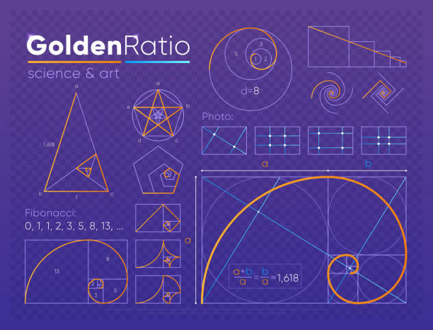 Set of golden ratio element Vector set of various figures and shapes in law of golden ratio composed on purple transparent background snail stock illustrations