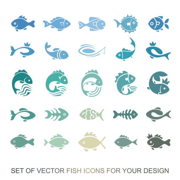 Set of graphic insulating fish. variety of marine and freshwater residents for menu restaurants. Vector collection of icons and illustrations Set of graphic insulating fish. variety of marine and freshwater residents for menu restaurants. Vector collection of icons and illustrations cartoon fish stock illustrations