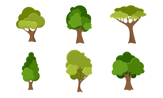 Set of isolated hand drawn different kinds of green summer deciduous trees over white background vector illustration. Blooming summer nature concept