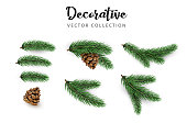 Set of realistic green decorative 3d fir branches with cones isolated on white background for Christmas and New Year holiday design. Vector illustration.