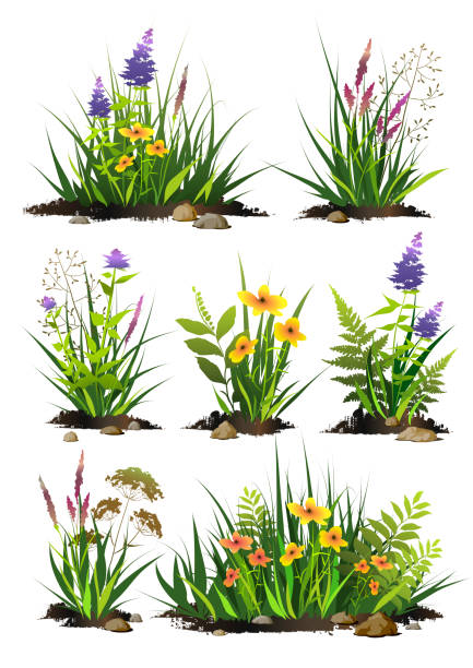 garden free brushes 1 129 free downloads