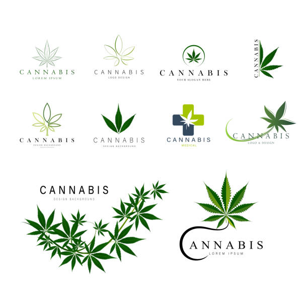 набор зеленых медицинских эмблем каннабиса, логотип . классический винтажный стиль - cannabis stock illustrations