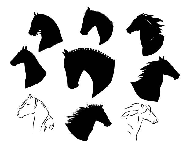Set of hand drawn black vector horses silhouettes. Set of hand drawn black vector horses silhouettes. horse clipart stock illustrations