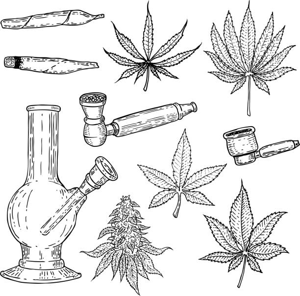 Download Top 60 Marijuana Joint Clip Art, Vector Graphics and Illustrations - iStock