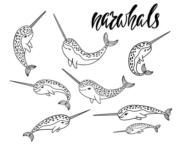 Set of hand drawn cartoon funny narwhals. Set of hand drawn cartoon funny narwhals. Nursery unicorn of sea. Vector illustration isolated on white background. printable of fish drawing stock illustrations