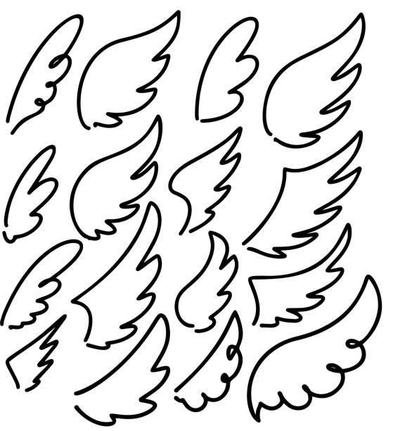 손으로 그린 낙서 날개 세트입니다. 포스터, 엠블럼, 기호, 라벨에 대한 요소를 디자인합니다. 벡터 일러스트레이션 - 동물 날개 stock illustrations